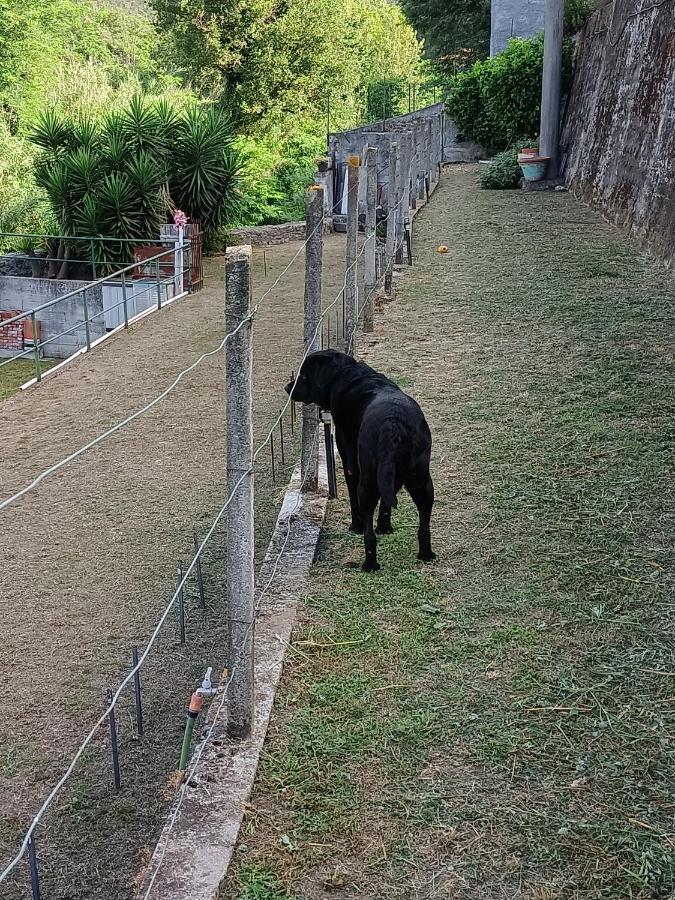 Da Ange E Bru Villa Sestri Levante Eksteriør billede