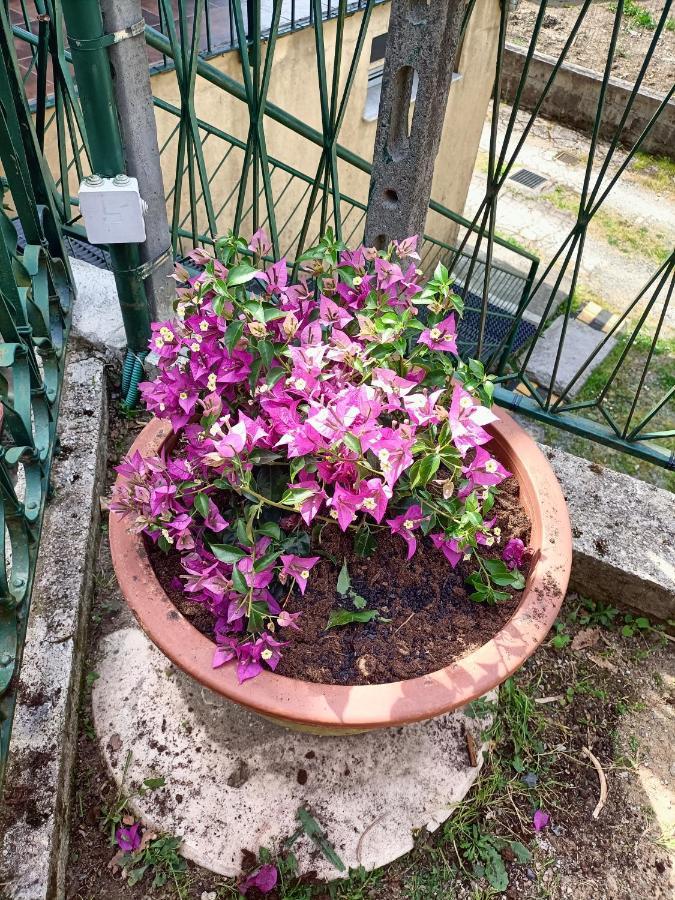 Da Ange E Bru Villa Sestri Levante Eksteriør billede