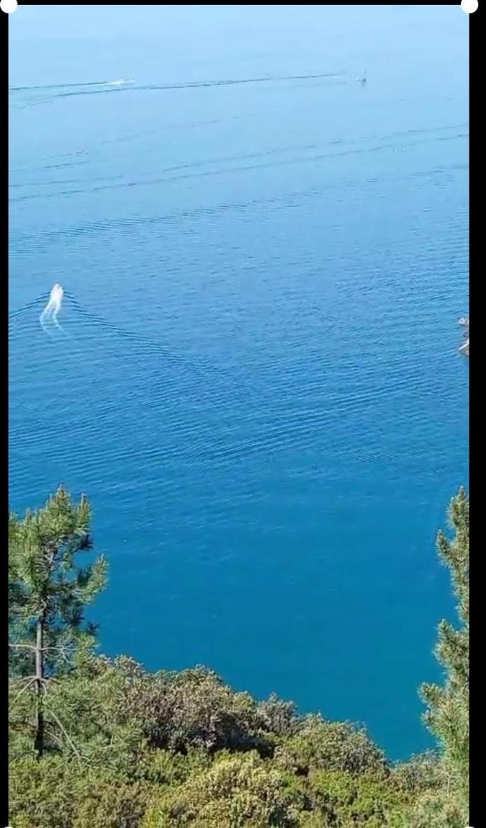 Da Ange E Bru Villa Sestri Levante Eksteriør billede